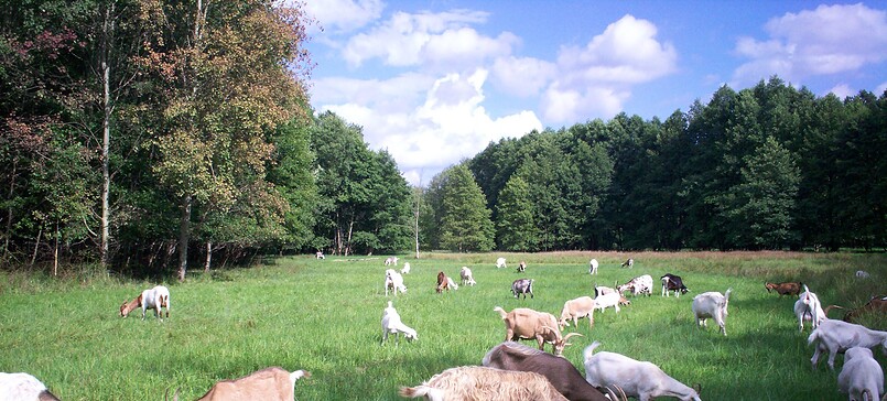 Birgits Hofladen Farm Shop at the Ziegenhof Heidesee