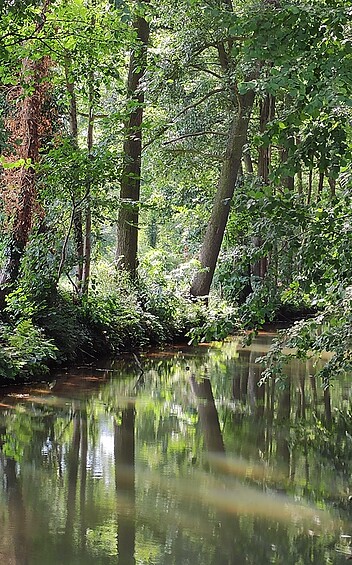 Spreewaldfließe, Foto: G. Grönke, Lizenz: G. Grönke
