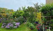 Garten in Schmargendorf, Foto: Alena Lampe