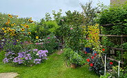 Garten in Schmargendorf, Foto: Alena Lampe