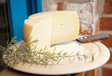 Käse vom Milchschafhof Pimpinelle in Quappendorf, Foto: Julia Otto