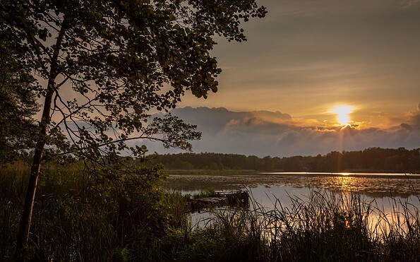 Sonnenuntergang, Natur, Foto: Florian Läufer, Lizenz: Seenland Oder-Spree