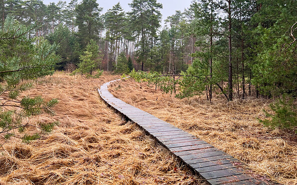 Holzsteg über das Luch, Foto: Anke Bielig, Lizenz: Anke Bielig