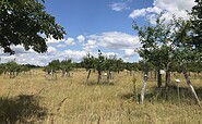 Sortenschaugarten Kurmeile Templin, Foto: Anet Hoppe