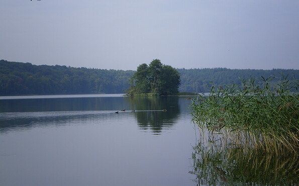 Blick auf den Tornowsee, Foto: Beatrice Kluzikowski, Lizenz: Tourismusverband Ruppiner Seenland e. V.