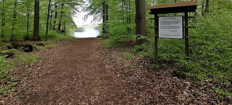 Circular hiking trail around the Tornowsee
