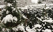 Winter am Teich