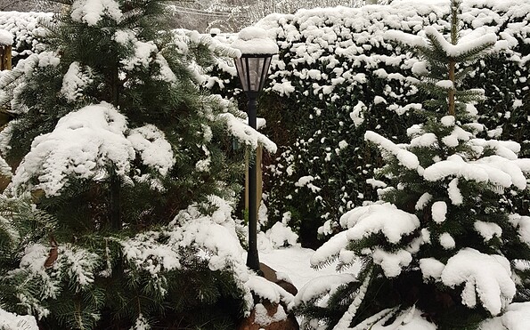 Winter am Teich
