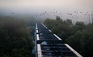 Europabrücke, Foto: Christoph Creutzburg, Lizenz: Seenland Oder-Spree