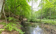 Schlaubetal-Wanderweg bei Bremsdorf, Foto: Steffen Lehmann, Lizenz: TMB-Fotoarchiv