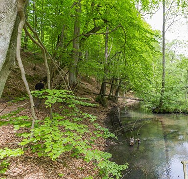 Across the Schlaubetal - Discovery Tour