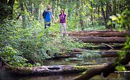 Im Stobbertal in der Märkischen Schweiz, Foto: Florian Läufer, Lizenz: Seenland Oder-Spree