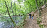 Wanderer auf dem Schlaubetal-Wanderweg bei Bremsdorf, Foto: Steffen Lehmann, Lizenz: TMB-Fotoarchiv