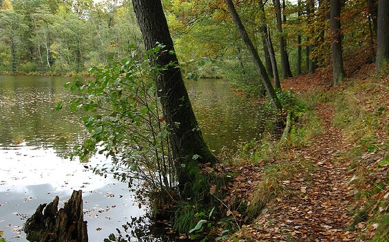 Lake Triftsee (Fishing Water)
