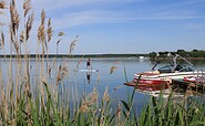 Mit dem Stand-Up-Paddle ruhig über den See paddeln, Foto: Eva Lau, Lizenz: Tourismusverband Lausitzer Seenland e.V.