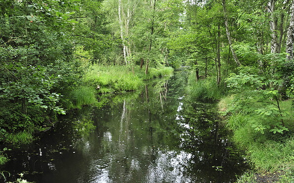 River Dahme, Foto: Sandra Fonarob, Lizenz: Tourismusverband Dahme-Seenland e.V.