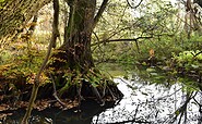 River Dahme, Foto: Norman Siehl, Lizenz: Tourismusverband Dahme-Seenland e.V.