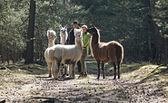 Wandern mit Lamas und Alpakas, Foto: Janin Müller, Lizenz: Sandra Müller, WanderLamas Bagenz