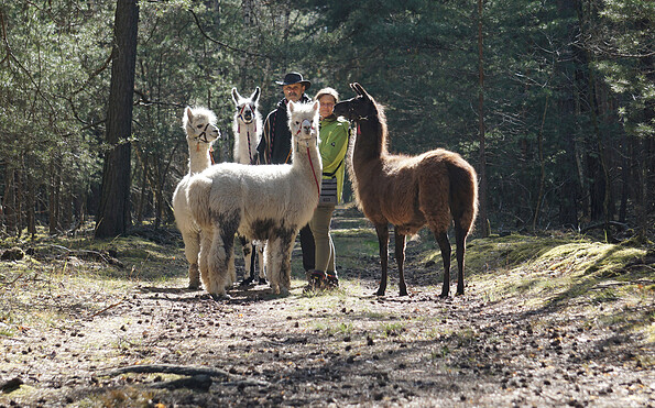 Hiking with llamas and alpacas, Foto: Janin Müller, Lizenz: Sandra Müller, WanderLamas Bagenz