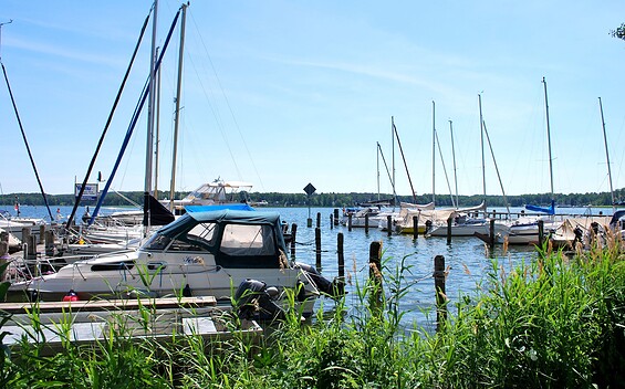 Berths Wendisch Rietz at the Festwiese, Foto: Tourismusverein Scharmützelsee e.V.