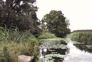 Stremme, Foto: Sandra Fonarob	, Lizenz: Tourismusverband Havelland e.V.
