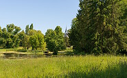 Lenné-Park Criewen  , Foto: Steffen Lehmann, Lizenz: TMB-Fotoarchiv