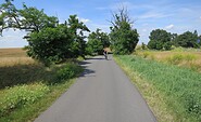 Hofjagdweg - between Krummensee and Bestensee, Foto: Axel von Blomberg, Lizenz: Amt Burg (Spreewald)