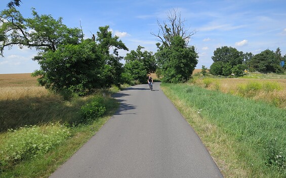 Hofjagdweg - between Krummensee and Bestensee, Foto: Axel von Blomberg, Lizenz: Amt Burg (Spreewald)