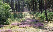 Naturpark Dahme-Heideseen, Foto: Uwe Seibt, Lizenz: Toursimusverband Dahme-Seenland e.V.