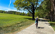 Naturpark Dahme-Heideseen, Foto: Laura Schulz, Ulrike Wulff, Lizenz: Naturpark Dahme-Heideseen