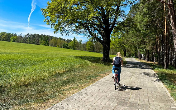 Naturpark Dahme-Heideseen, Foto: Laura Schulz, Ulrike Wulff, Lizenz: Naturpark Dahme-Heideseen