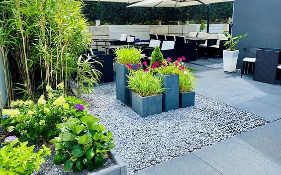 Garten, Foto: Aleksandra Sieniuć, Lizenz: Pension Pause