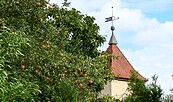 Dorfkirche Langerwisch, Foto: Catharina Weisser, Lizenz: Tourismusverband Fläming e.V.