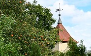 Dorfkirche Langerwisch, Foto: Catharina Weisser, Lizenz: Tourismusverband Fläming e.V.