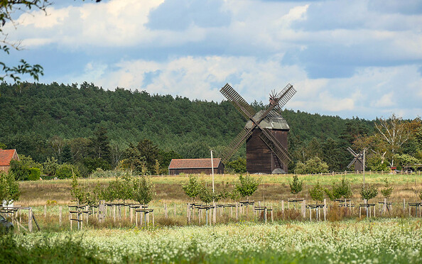 Windmühle, Foto: Catharina Weisser, Lizenz: Tourismusverband Fläming e.V.