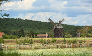 Windmill, Foto: Catharina Weisser, Lizenz: Tourismusverband Fläming e.V.