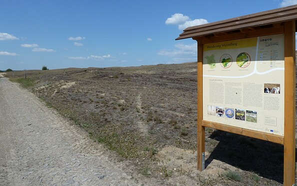 Informationstafel am Wanderweg Wurzelberg, Foto: Stiftung Naturlandschaften Brandenburg