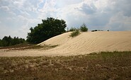 Dune, Foto: Stiftung Naturlandschaften Brandenburg