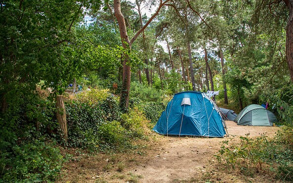Zelten auf dem Campingplatz, Foto: Steffen Lehmann, Lizenz: TMB Fotoarchiv