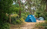 tents at the campsite, Foto: Steffen Lehmann, Lizenz: TMB Fotoarchiv