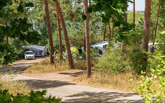 view of the campsite, Foto: Steffen Lehmann, Lizenz: TMB Fotoarchiv