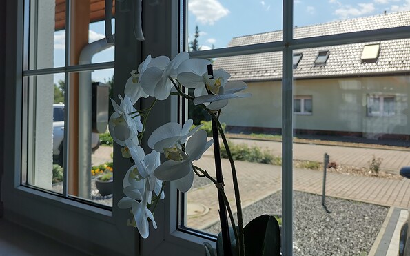 View from the kitchen to the parking lot, Foto: Touristinformation Senftenberg, Lizenz: Touristinformation Senftenberg