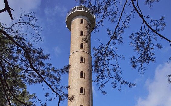 Aussichtsturm Calauer Schweiz, Foto: Boris Aehnelt, Lizenz: Boris Aehnelt