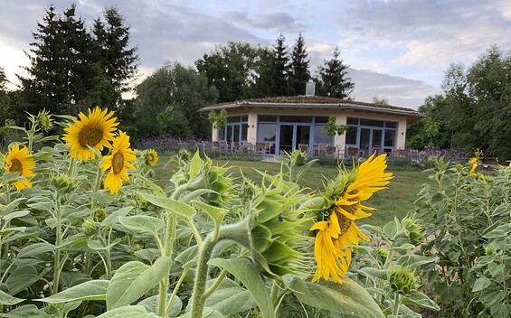 Café Dornröschen, Foto: Maik Flemming, Lizenz: Maik Flemming