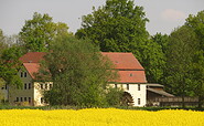 Elstermühle mit Rapsfeld, Foto: Elstermühle Plessa, Lizenz: Elstermühle Plessa