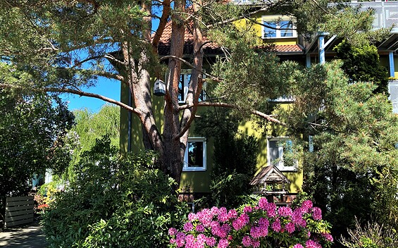 Gästewohnung Altstadt, Foto: Ulrike Haselbauer, Lizenz: Tourismusverband Lausitzer Seenland e.V.