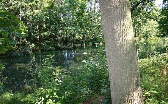 Nottekanal, Foto: Günter Schönfeld, Lizenz: Tourismusverband Dahme-Seenland e.V.
