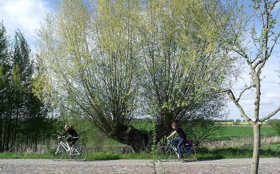 Radweg zur  Blumberger Mühle, Foto: Irene Richter