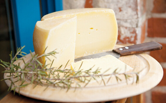 sheep milk products from the Milchschafhof Pimpinelle in Quappendorf, Foto: Julia Otto