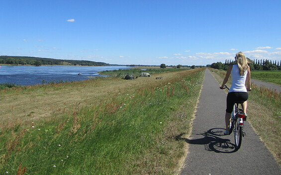 Going bei bike, Foto: Sandra Haß